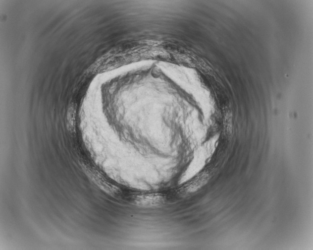 X0000085780274200704131837