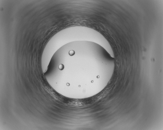 X0000085780276200704131837