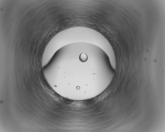 X0000085780280200704131837