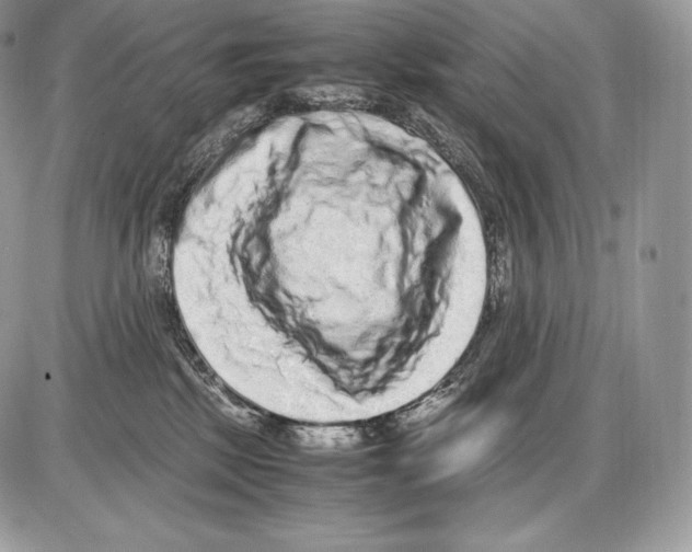 X0000085780281200704131837