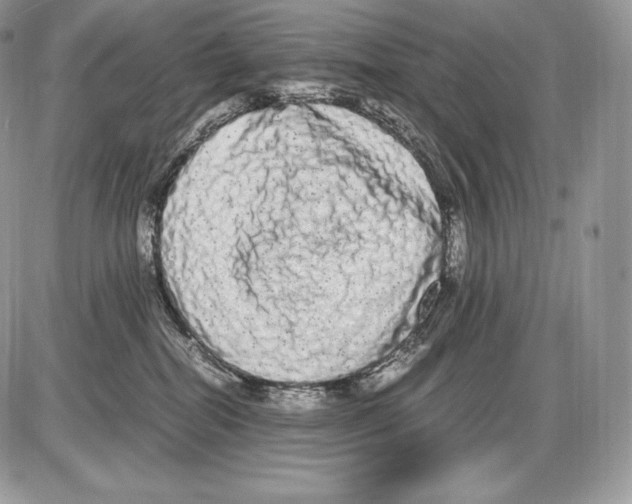 X0000085780282200704131837