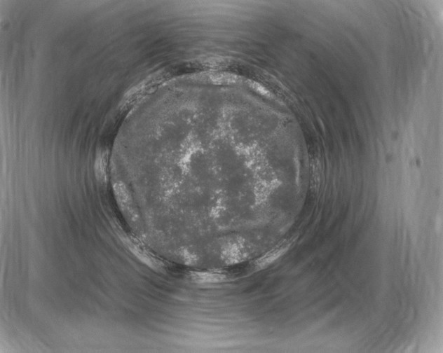 X0000085780286200704131837