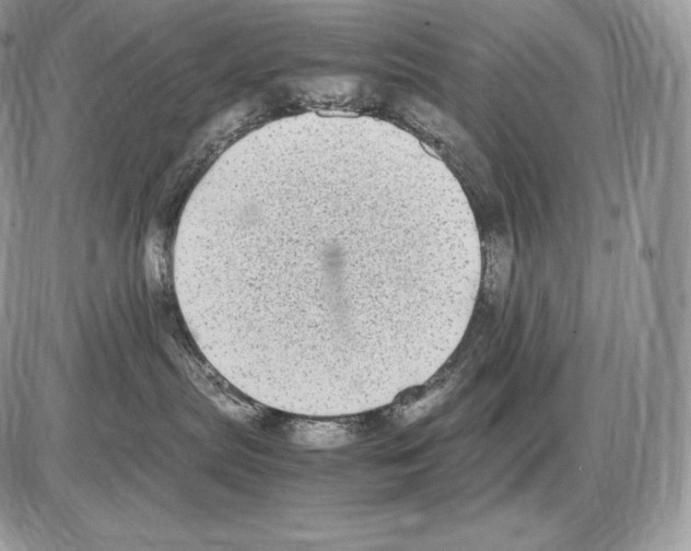 X0000085780287200704131837