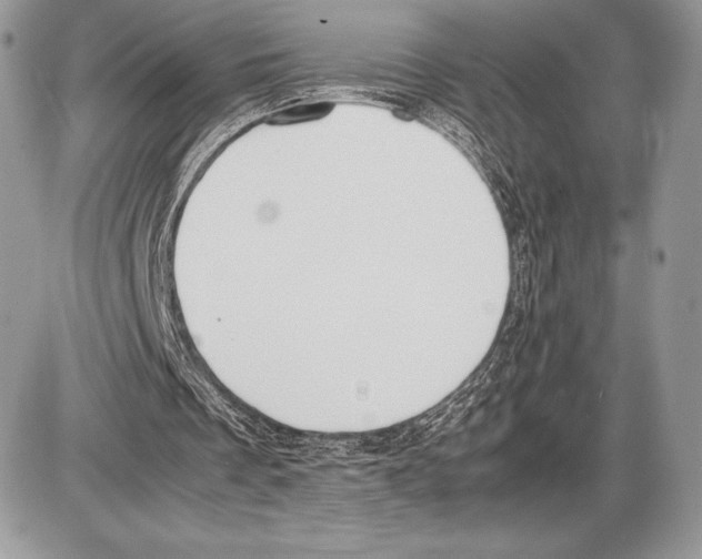 X0000085780289200704131836