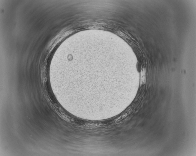 X0000085780291200704131836