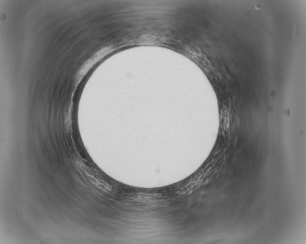 X0000085780292200704131836