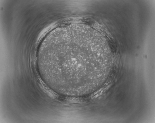 X0000085780293200704131836