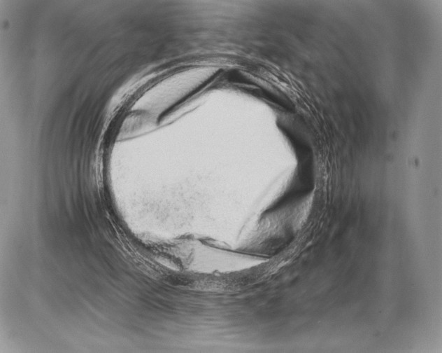 X0000085780294200704131836