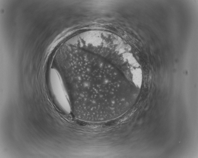 X0000085780295200704131836