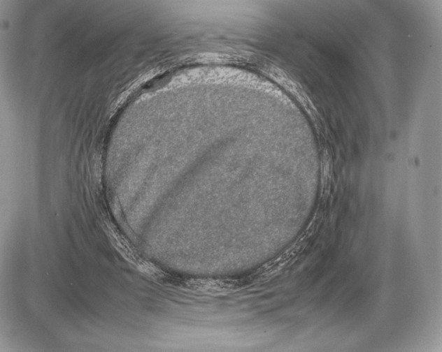 X0000085780297200704131836