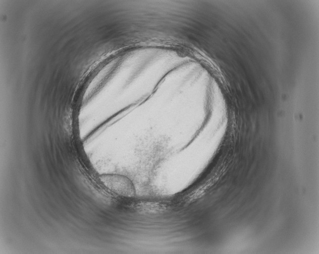 X0000085780298200704131836