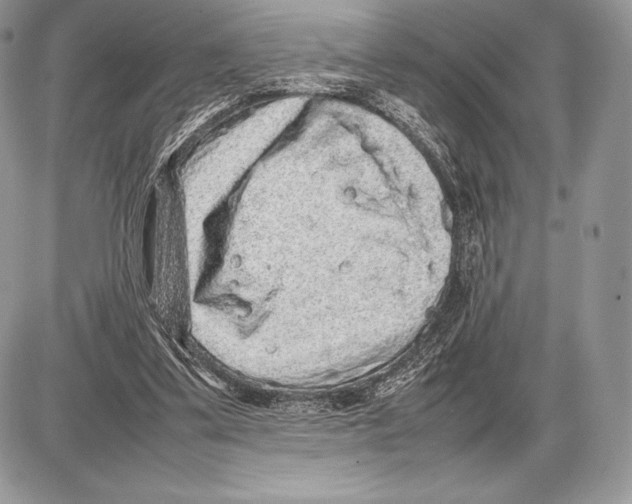 X0000085780299200704131836