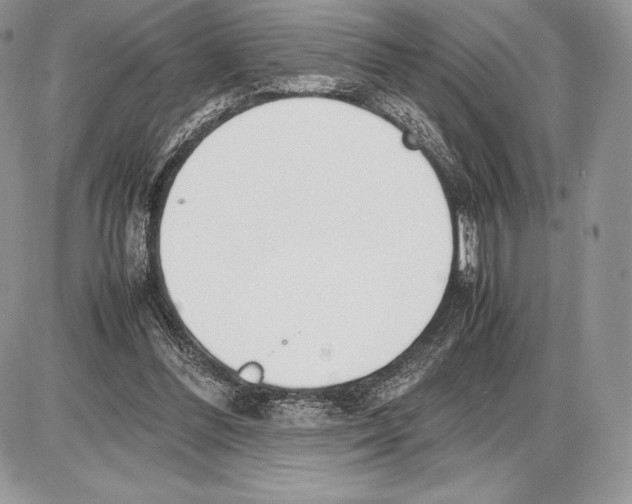 X0000085780300200704131836