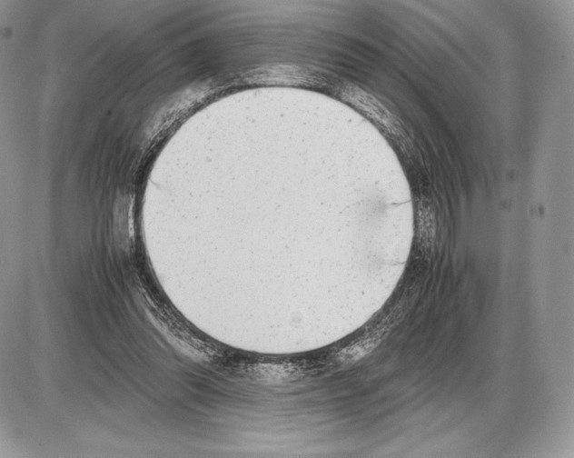 X0000085780302200704131836