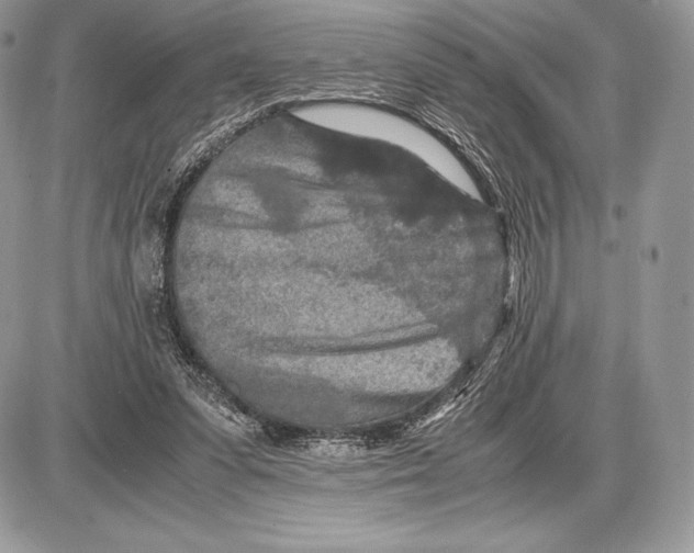 X0000085780303200704131836