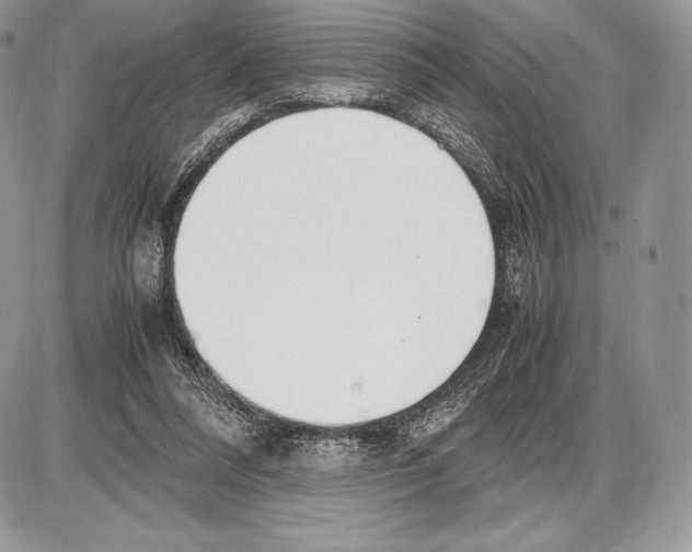 X0000085780304200704131836