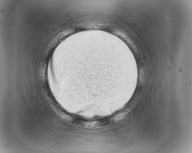 X0000085780309200704131836