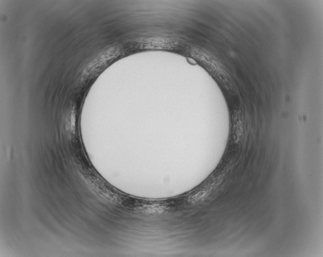 X0000085780310200704131836