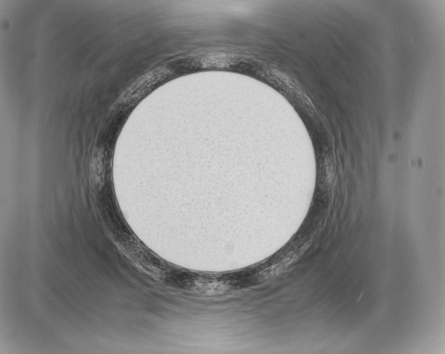 X0000085780311200704131836