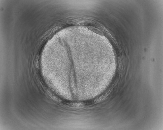 X0000085780313200704131836