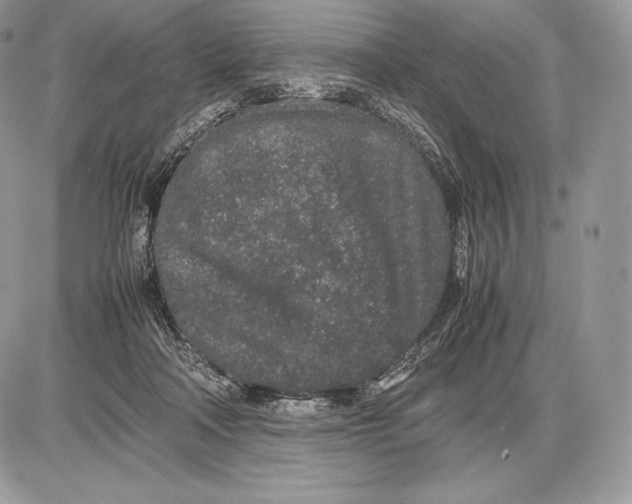 X0000085780314200704131836