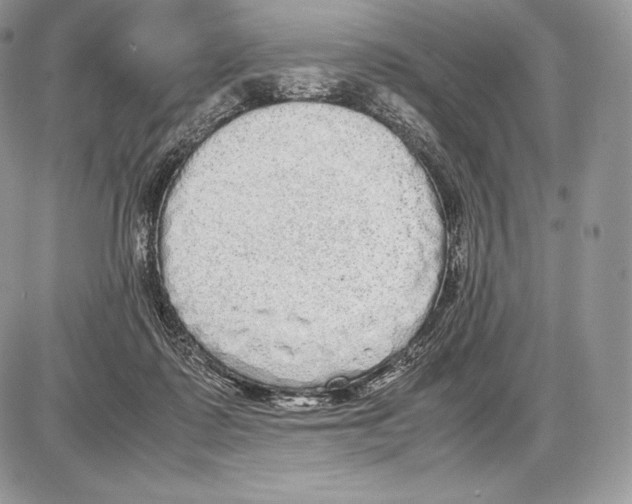 X0000085780315200704131836