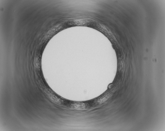 X0000085780317200704131836