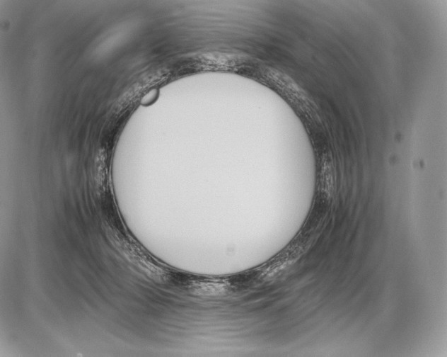 X0000085780318200704131836