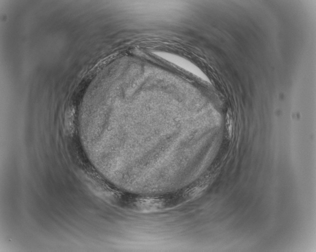 X0000085780319200704131835