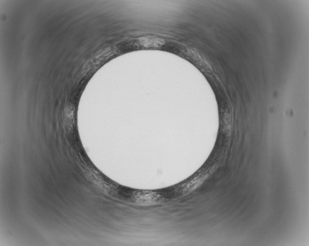 X0000085780321200704131835