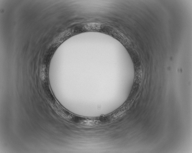 X0000085780323200704131835