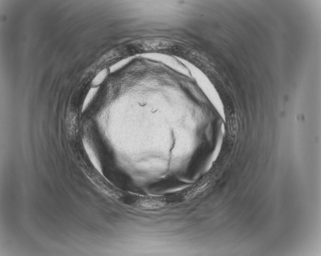 X0000085780327200704131835