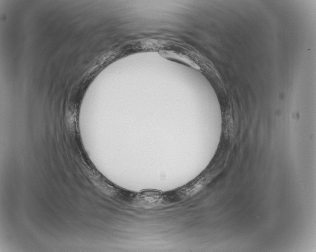 X0000085780329200704131835