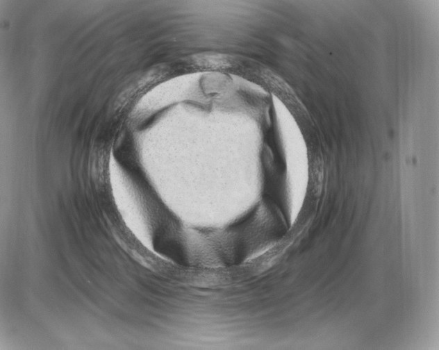 X0000085780330200704131835