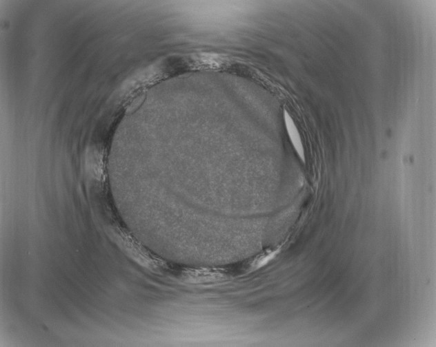 X0000085780331200704131835