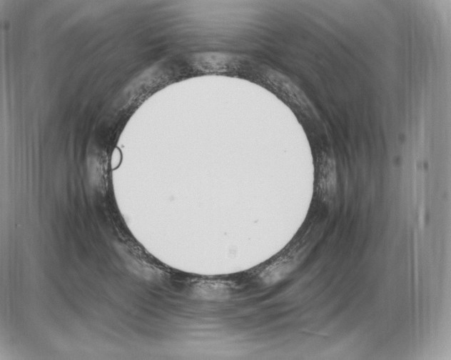 X0000085780332200704131835