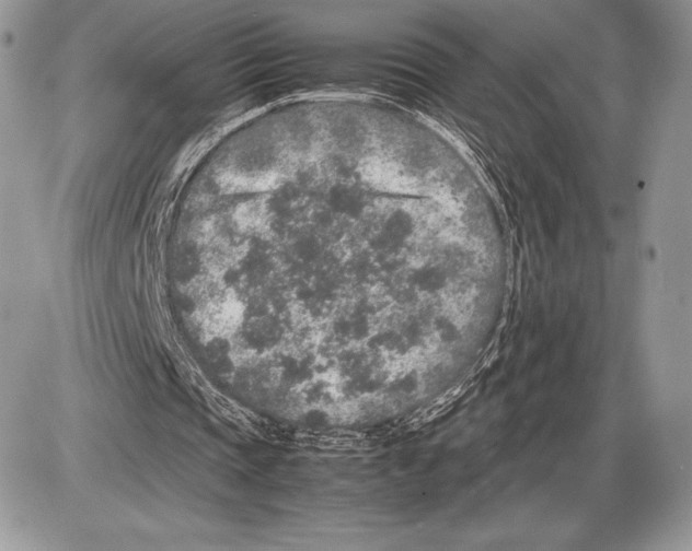 X0000085780337200704131834