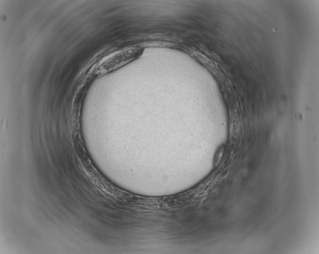 X0000085780339200704131834