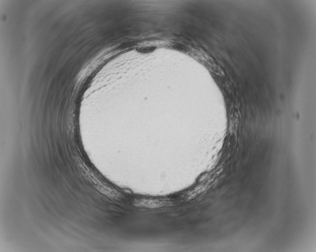 X0000085780341200704131834