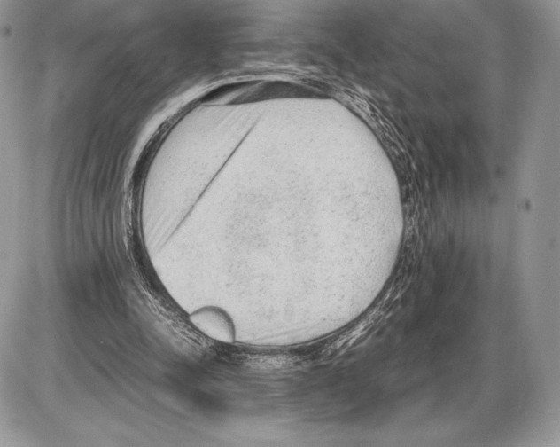 X0000085780342200704131834