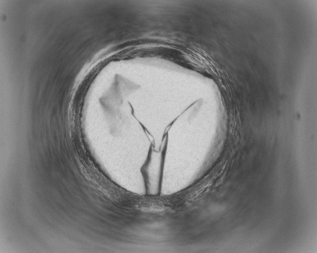 X0000085780343200704131834