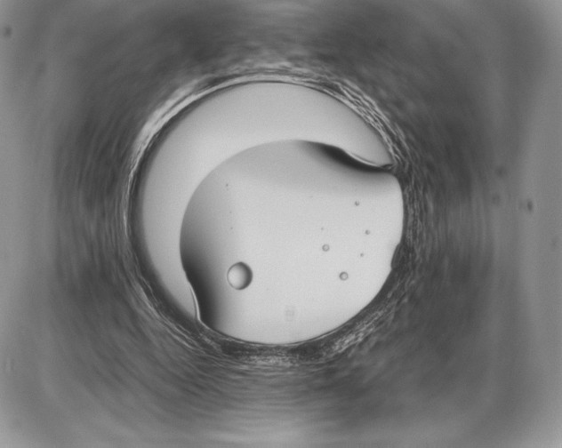 X0000085780344200704131835