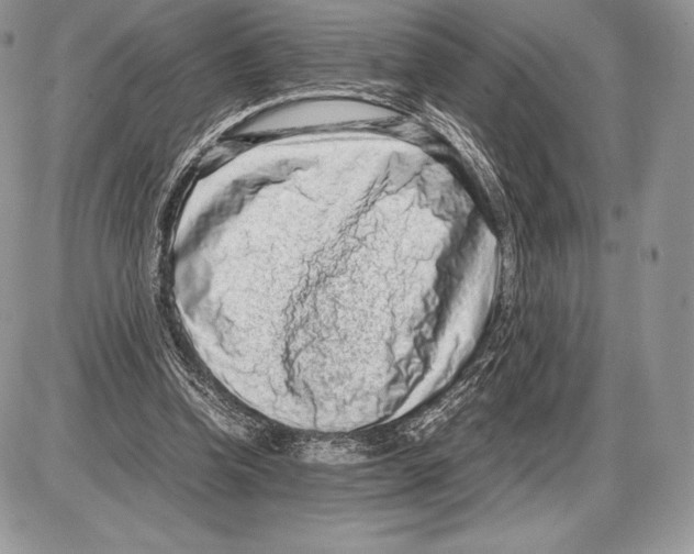 X0000085780346200704131835