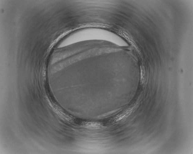 X0000085780348200704131835