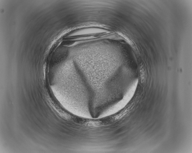 X0000085780350200704131835