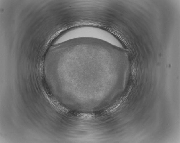 X0000085780352200704131835