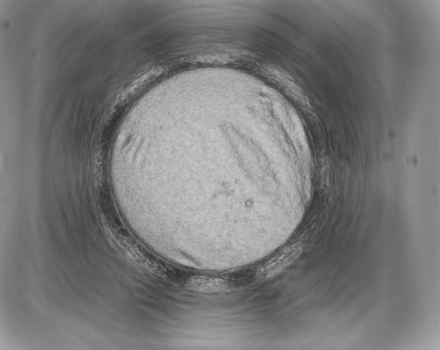 X0000085780354200704131835