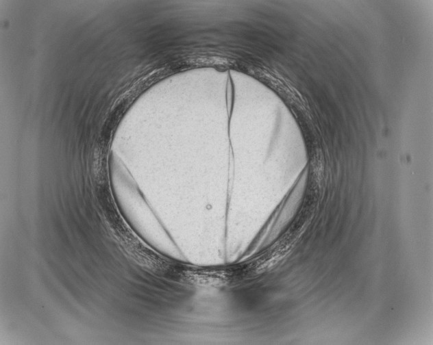 X0000085780359200704131835