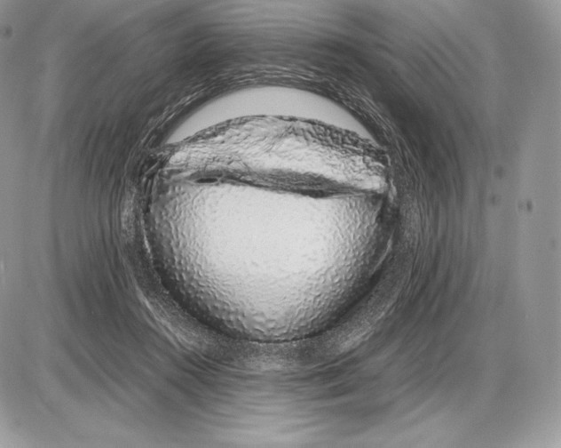 X0000085780360200704131835