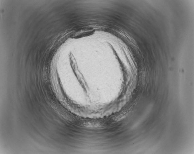 X0000085780361200704131835